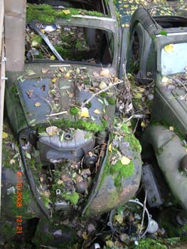 CIMG6275