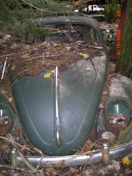 CIMG6295